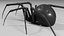 Black widow spider basemesh