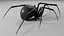 Black widow spider basemesh