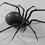 Black widow spider basemesh