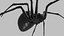 Black widow spider basemesh