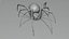 Black widow spider basemesh