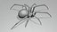 Black widow spider basemesh