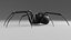 Black widow spider basemesh