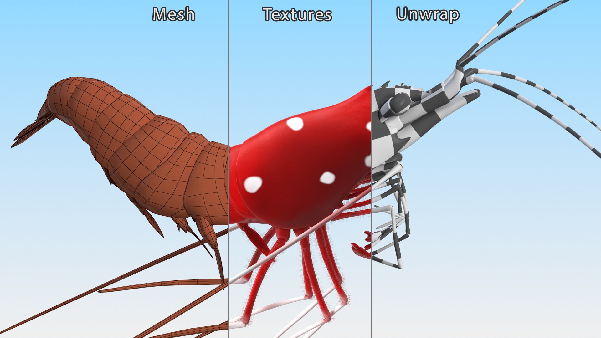 3D model Fire Shrimp Fur https://p.turbosquid.com/ts-thumb/db/36r8qL/7Z/fireshrimpfur3dsmodel015/jpg/1680202311/1920x1080/fit_q87/770547b7169e262f894b61b8e27347fa4167b986/fireshrimpfur3dsmodel015.jpg