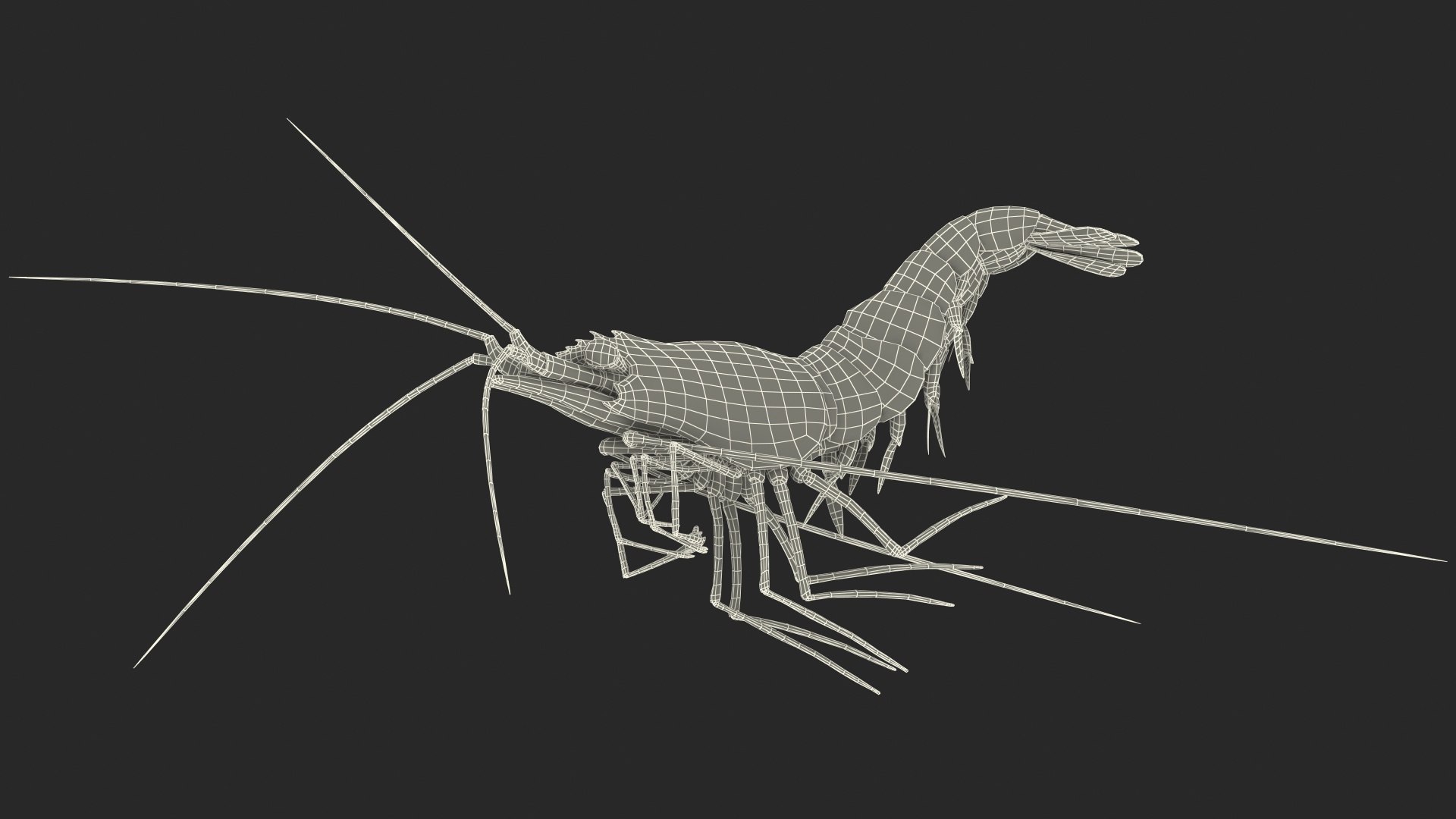 3D model Fire Shrimp Fur https://p.turbosquid.com/ts-thumb/db/36r8qL/7q/fireshrimpfur3dsmodel021/jpg/1680202332/1920x1080/fit_q87/3f1be3c8ecbe10e9a7162045e11823f6045f5ad7/fireshrimpfur3dsmodel021.jpg