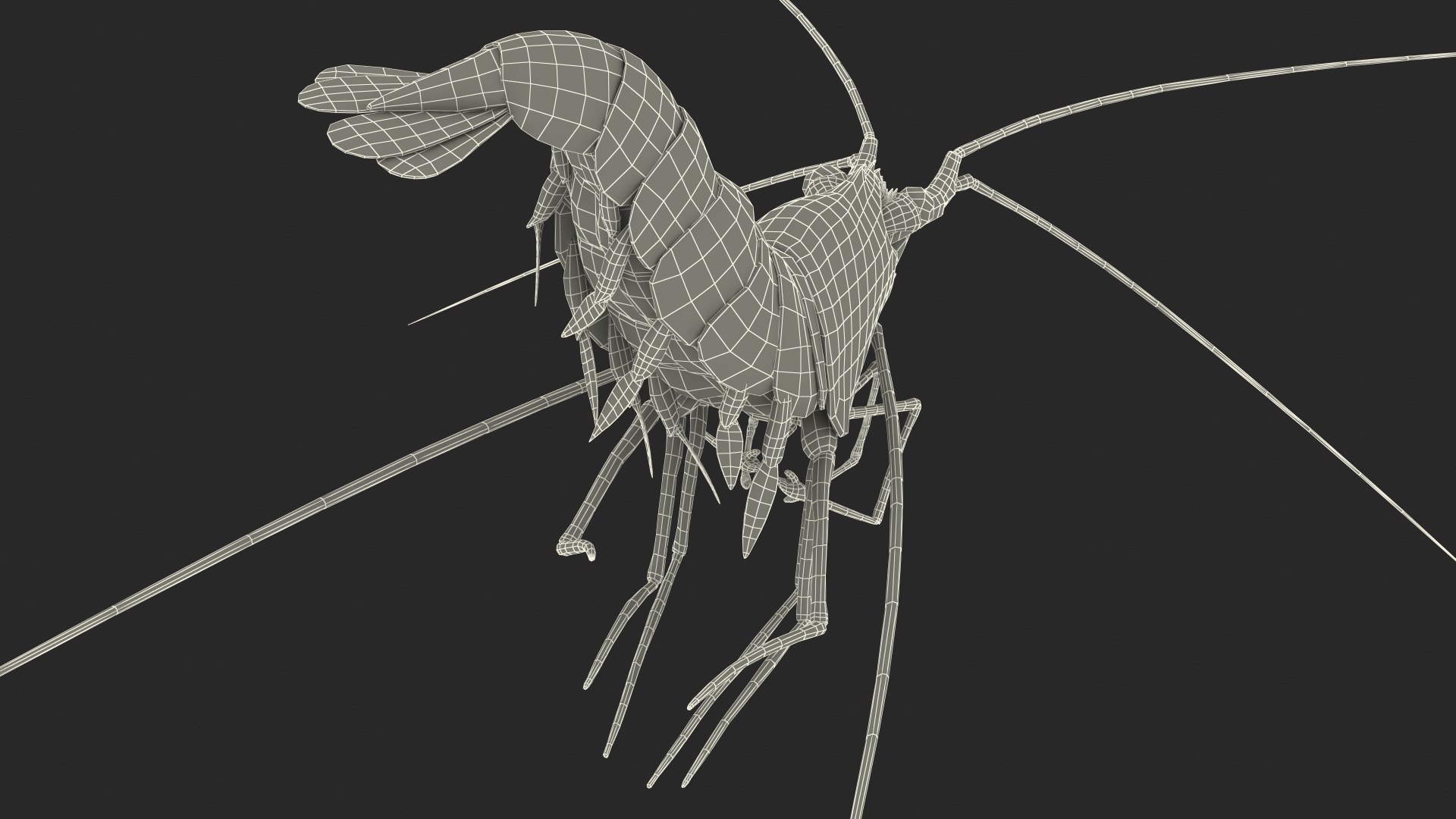 3D model Fire Shrimp Fur https://p.turbosquid.com/ts-thumb/db/36r8qL/Ie/fireshrimpfur3dsmodel022/jpg/1680202335/1920x1080/fit_q87/532c05da4b321599cf27ac3ffd3ddaf9ea346770/fireshrimpfur3dsmodel022.jpg