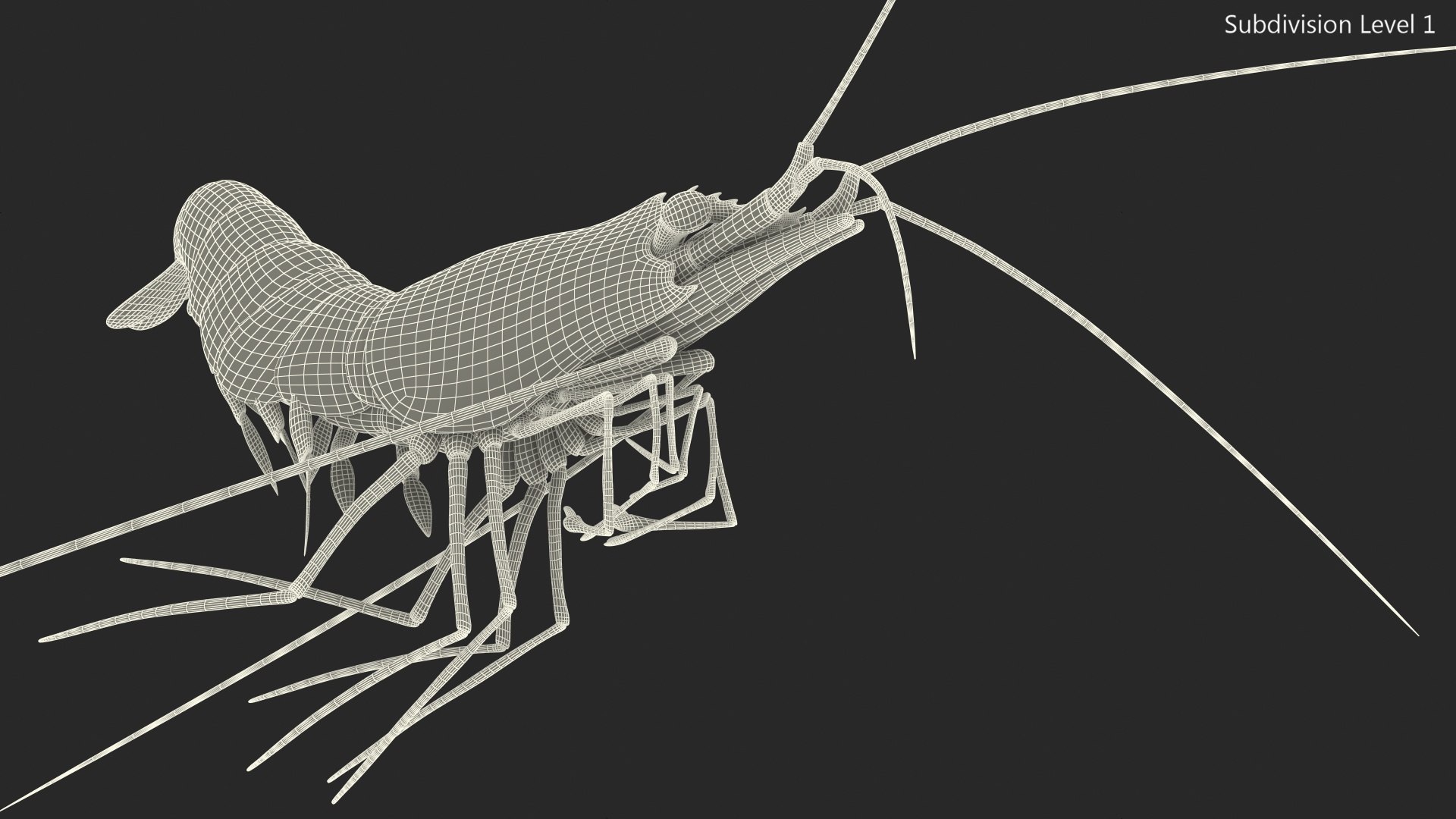 3D model Fire Shrimp Fur https://p.turbosquid.com/ts-thumb/db/36r8qL/KO/fireshrimpfur3dsmodel017/jpg/1680202318/1920x1080/fit_q87/ea9561ea3bd090e8325717ff2340a22a38667bf6/fireshrimpfur3dsmodel017.jpg