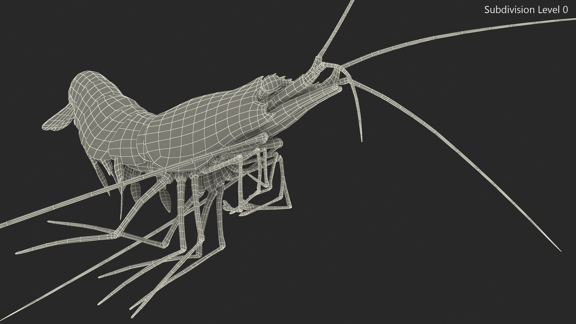 3D model Fire Shrimp Fur https://p.turbosquid.com/ts-thumb/db/36r8qL/ME/fireshrimpfur3dsmodel016/jpg/1680202314/1920x1080/fit_q87/2b8b1f47a7b80246ceecd53994e7d649edd9d8bd/fireshrimpfur3dsmodel016.jpg