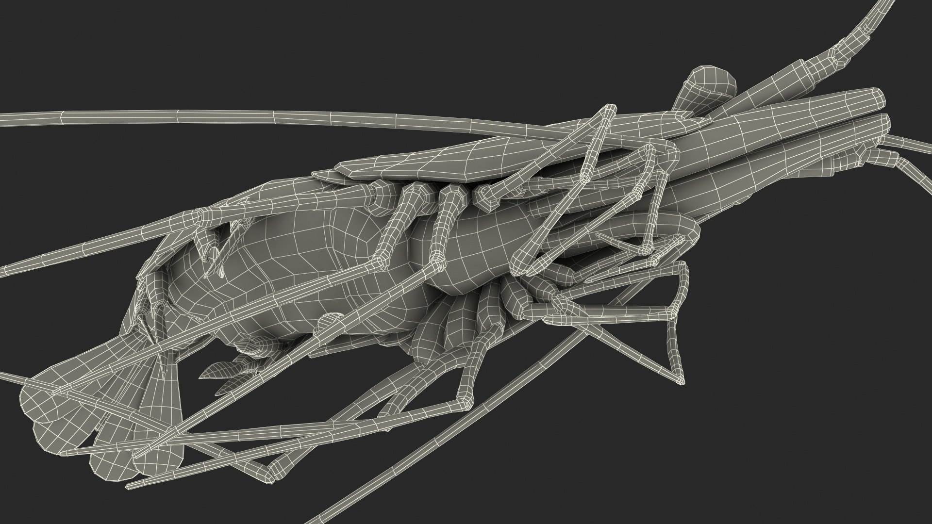 3D model Fire Shrimp Fur https://p.turbosquid.com/ts-thumb/db/36r8qL/oi/fireshrimpfur3dsmodel023/jpg/1680202338/1920x1080/fit_q87/f09e399ab323a11ca2937800b7417b0447712063/fireshrimpfur3dsmodel023.jpg