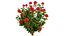 Ativo 3D realista de flores Waratah