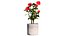 Ativo 3D realista de flores Waratah