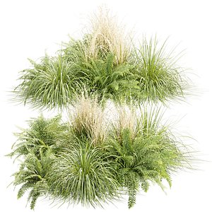 Outdoor Plants Collection 536 3D Plant Model 3D model