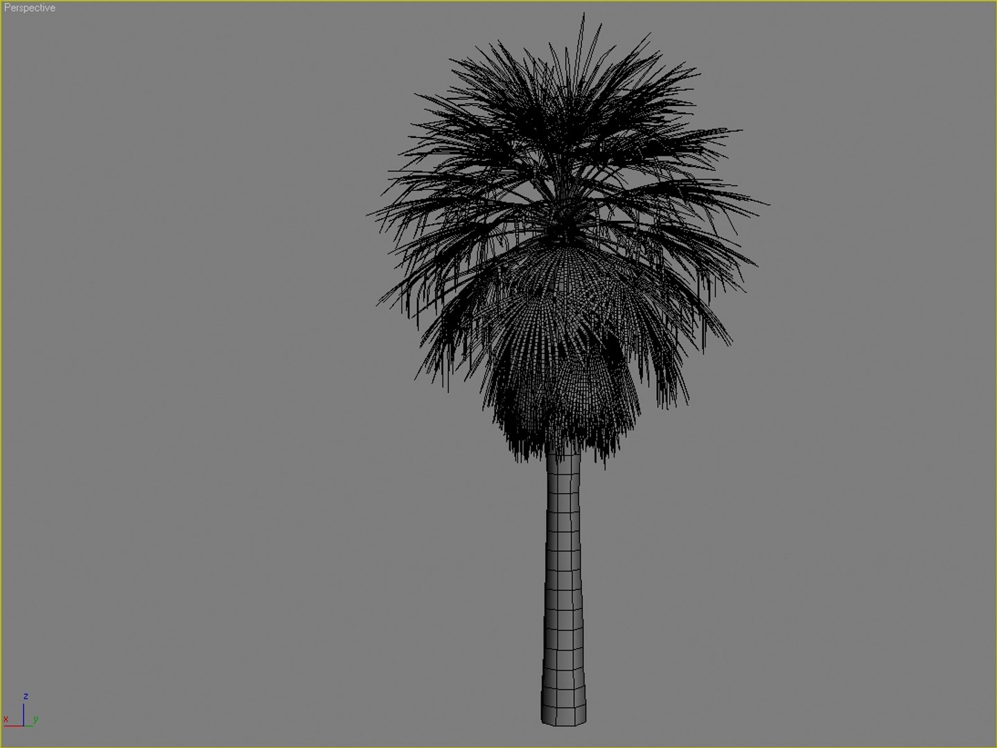 Palm Tree Max
