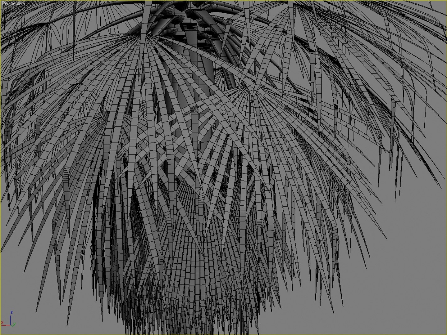 Palm Tree Max