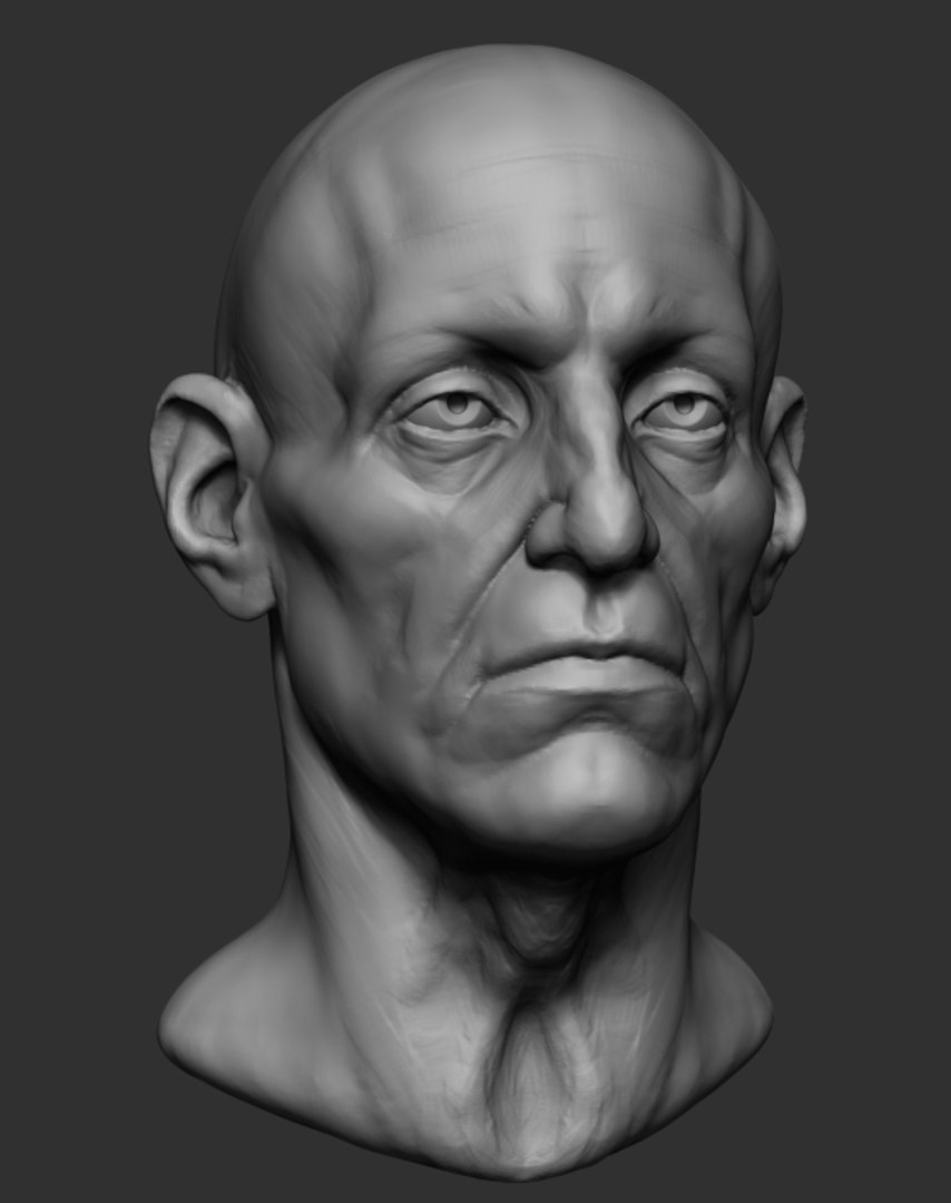 3d models face. Анатомия лица Zbrush. Анатомия головы Zbrush. Zbrush человек. Zbrush картинки.