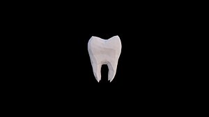 Origami human tooth unfolding growing animation