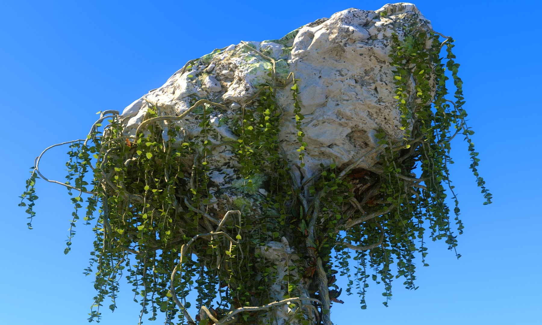 3D Model Rainforest Rocks - TurboSquid 1771800
