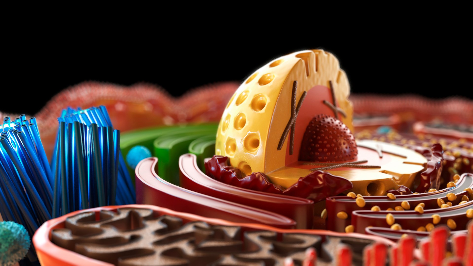 3d human cell https://p.turbosquid.com/ts-thumb/db/VYNH8L/7a/4ps2/jpg/1746798287/1920x1080/fit_q87/33b8112eb9f1293883c1b0730519e85a48525dee/4ps2.jpg