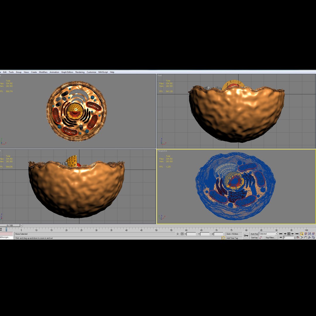 3d human cell https://p.turbosquid.com/ts-thumb/db/VYNH8L/O3SaOvdY/skrin/jpg/1314553631/1920x1080/fit_q87/5a3290a4da41f93c0992b129c7952537a9d02bc1/skrin.jpg
