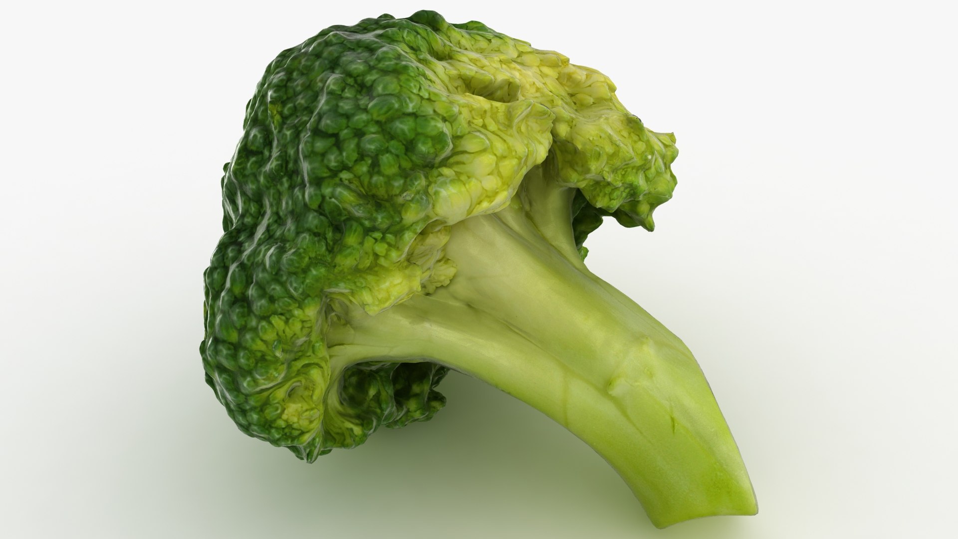 Vegetable Collection 3 3D model https://p.turbosquid.com/ts-thumb/db/aFEYuZ/Lh/1c/jpg/1691091139/1920x1080/fit_q87/de0a459d98b717f9b7a627260d4b92af564215e3/1c.jpg