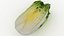 Vegetable Collection 3