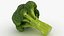Vegetable Collection 3