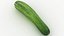 Vegetable Collection 3