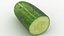 Vegetable Collection 3