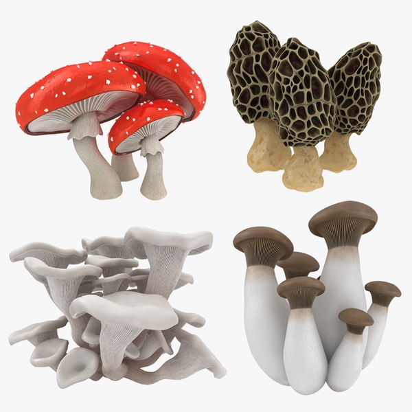 mushrooms 2 model