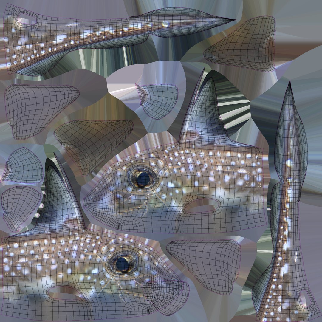 3D Spotted Ratfish Model - TurboSquid 1363521