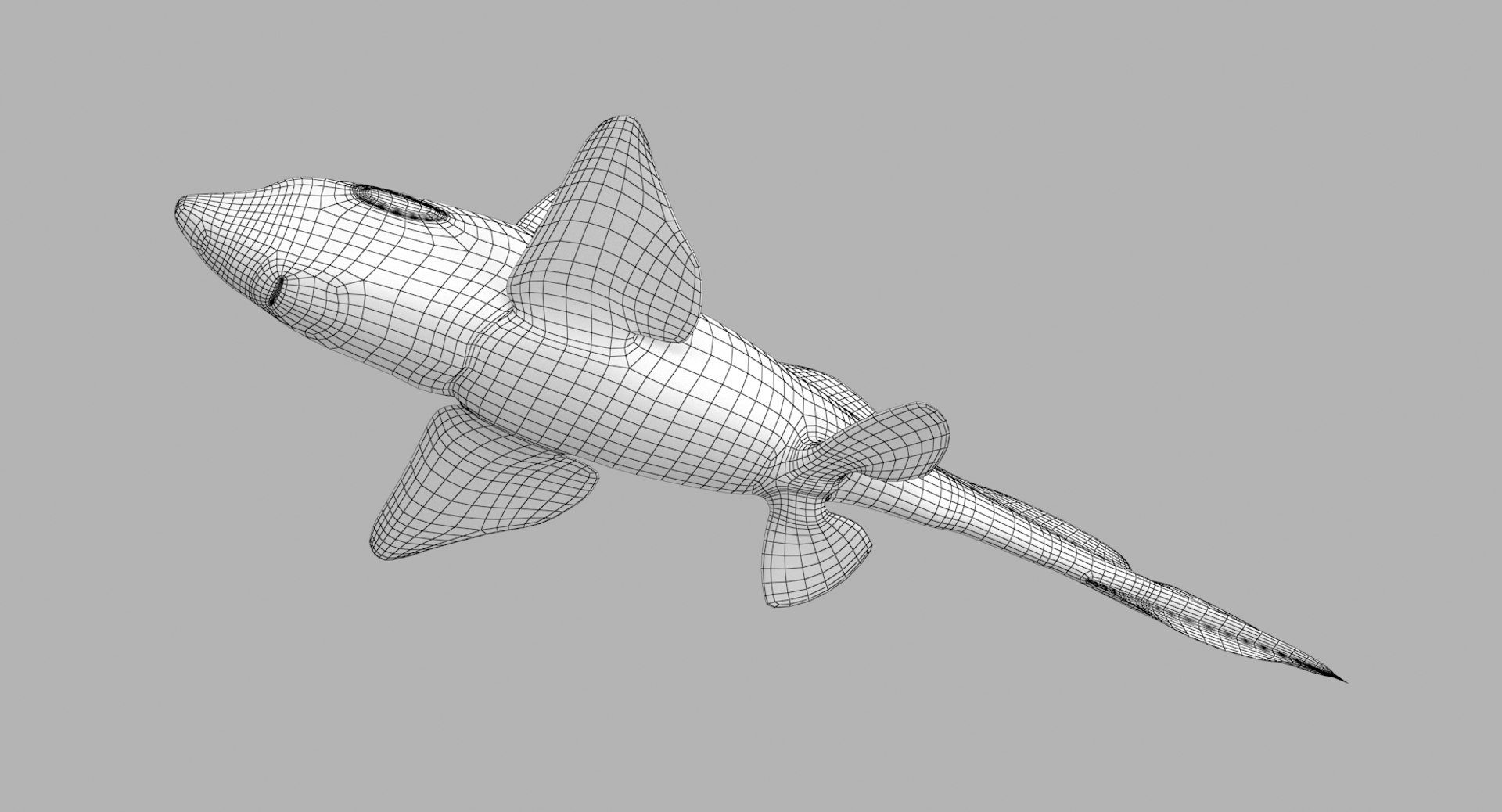 3D Spotted Ratfish Model - TurboSquid 1363521