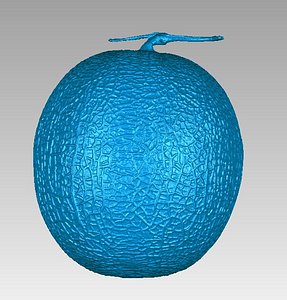 Real Melon Natural 3D Scan High Detail model