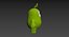 Mascote 002