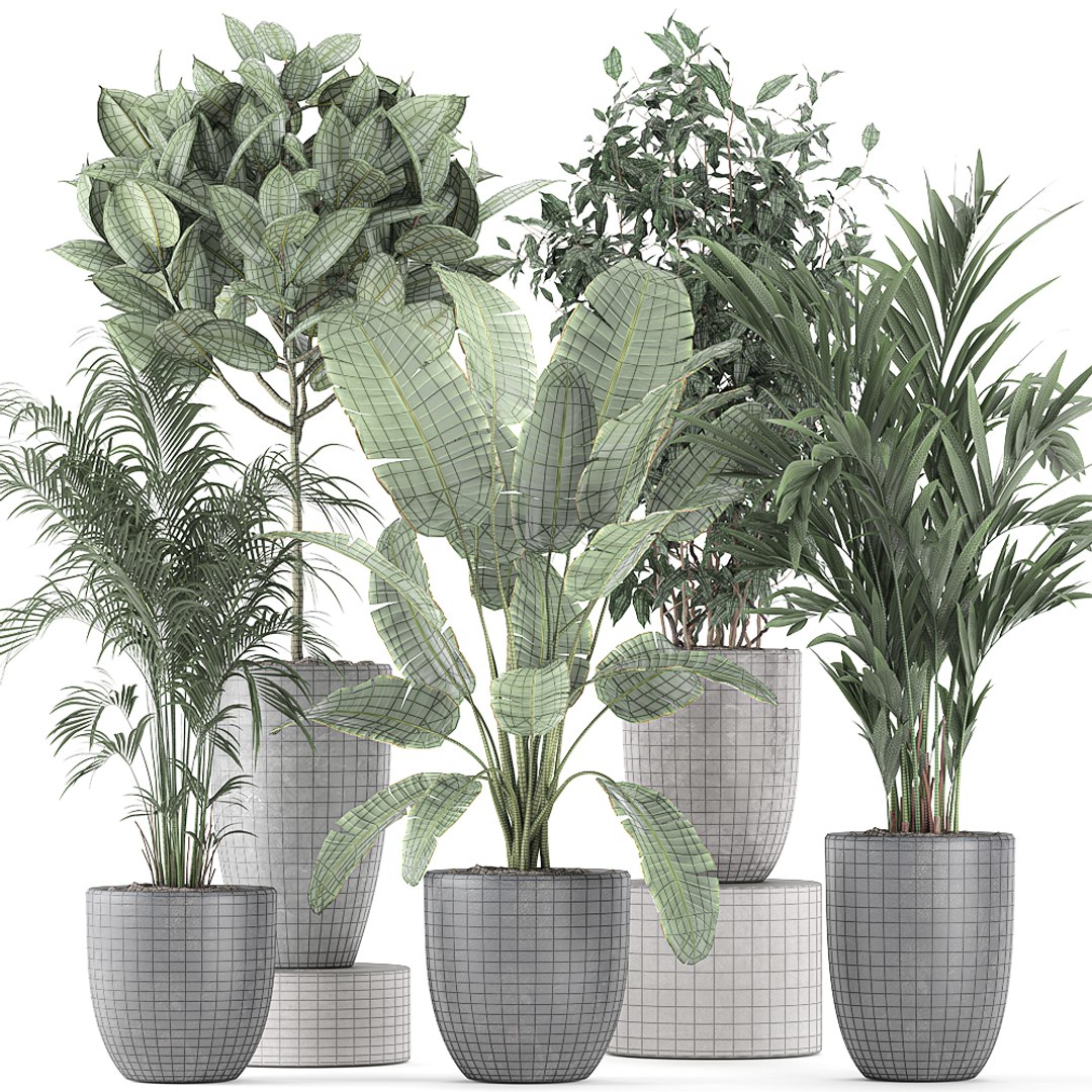 Decorative Plants Interior Flowerpots 3D - TurboSquid 1583267