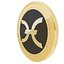 Holo Cryptocurrency Gold Coin