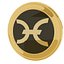 Holo Cryptocurrency Gold Coin