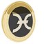 Holo Cryptocurrency Gold Coin
