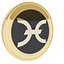 Holo Cryptocurrency Gold Coin