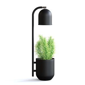 3D black desk lamp plant