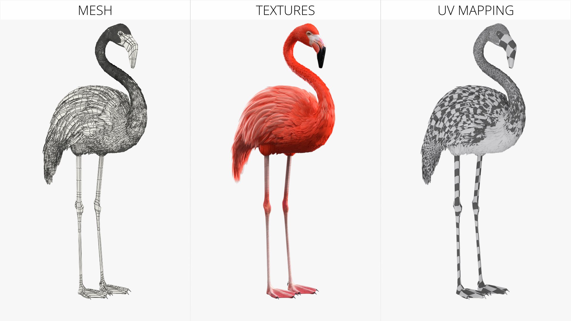 3D Tropical Bird Flamingo Pink https://p.turbosquid.com/ts-thumb/dc/MIs3wW/as/tropical_bird_flamingo_pink_008/jpg/1758595928/1920x1080/fit_q87/edd97d1d9bf429ae84c9d393ae7e85aa02d77e5d/tropical_bird_flamingo_pink_008.jpg