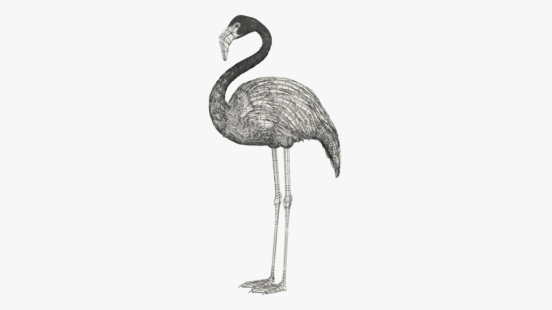 3D Tropical Bird Flamingo Pink https://p.turbosquid.com/ts-thumb/dc/MIs3wW/k8/tropical_bird_flamingo_pink_011/jpg/1758595937/1920x1080/fit_q87/19857a32d952dc97d1325e4f2b35229c7fccff1e/tropical_bird_flamingo_pink_011.jpg