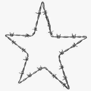 Star Shaped Barbed Wire 3D model