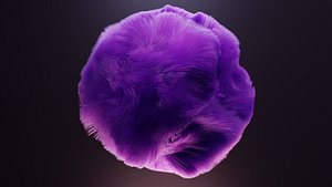 Soft Fur Hair 3D model