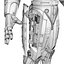 RoboCop Movie 1987