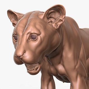 3D Leopard Cub Primary Forms Zbrush Sculpt model