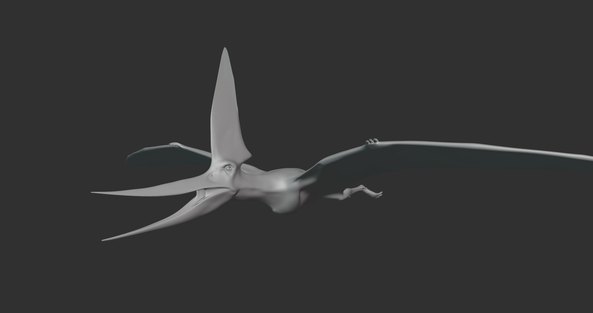 3D Nyctosaurus Basemesh Low Poly model - TurboSquid 2107894