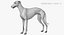 realistic greyhound rigged animations 3D model