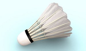 badminton max