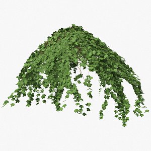 ivy pbr branches 3D model