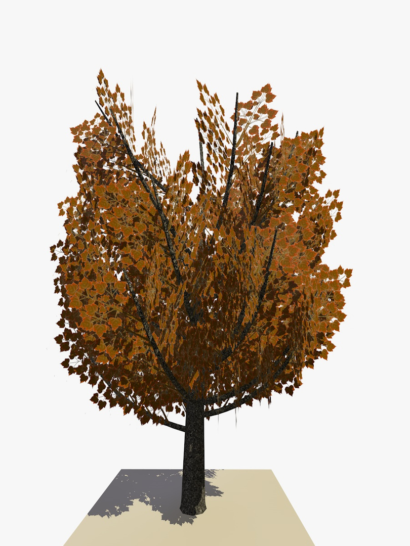 tree animations c4d https://p.turbosquid.com/ts-thumb/dd/OMqoRD/G7rm4NVE/tree18jpegsanimation1/jpg/1438347773/1920x1080/turn_fit_q99/a69ca4f0e899efef30f112d4a970d0dd61057b9a/tree18jpegsanimation1-1.jpg
